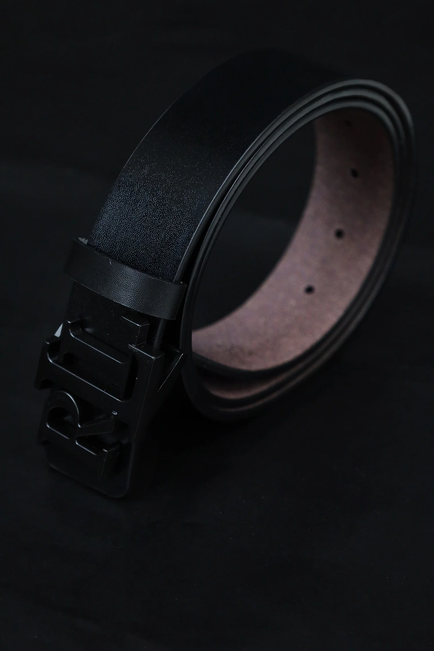 RaPH Luren Metal Alloy Automatic Buckle Branded Belt - Image 15
