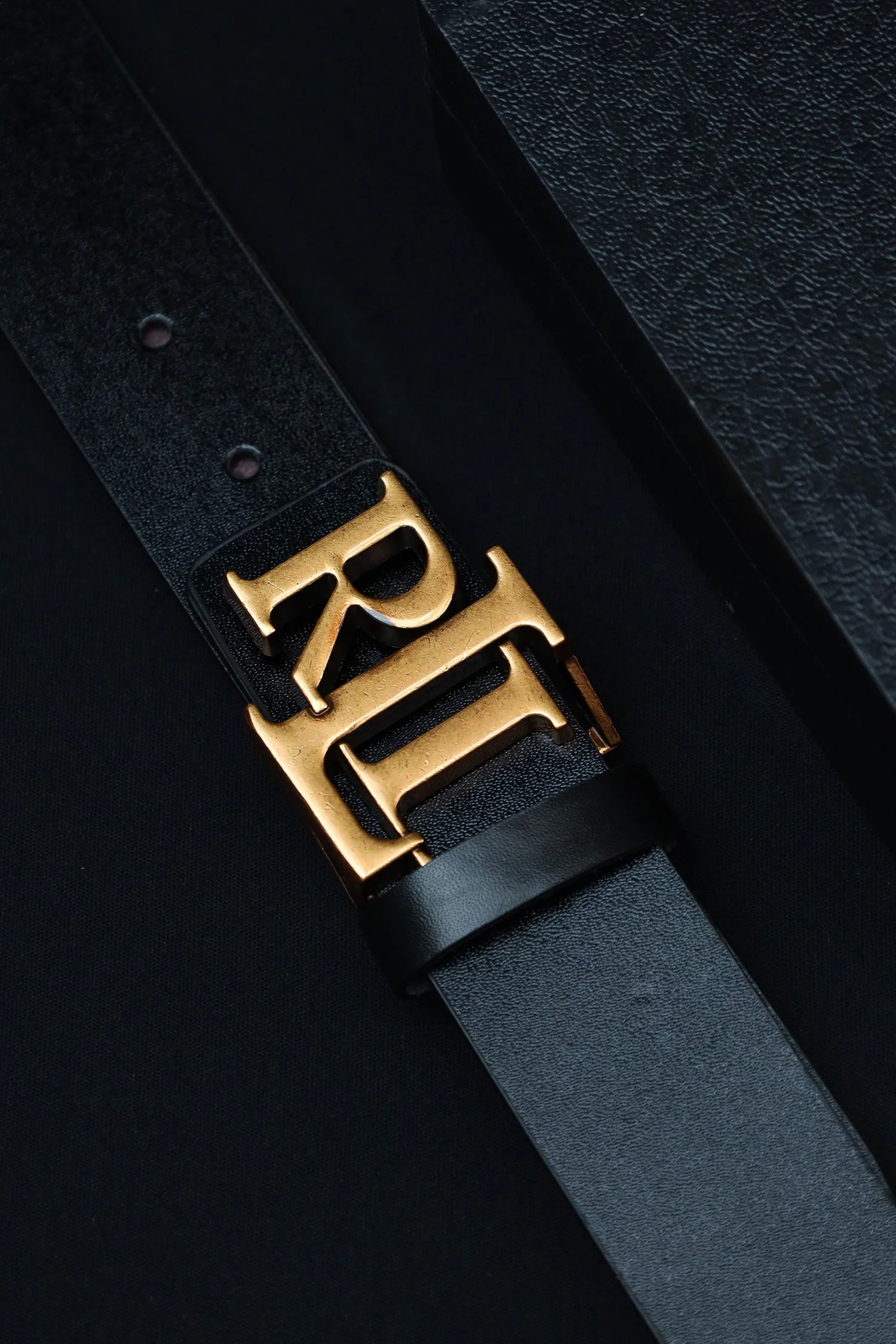 RaPH Luren Metal Alloy Automatic Buckle Branded Belt - Image 3