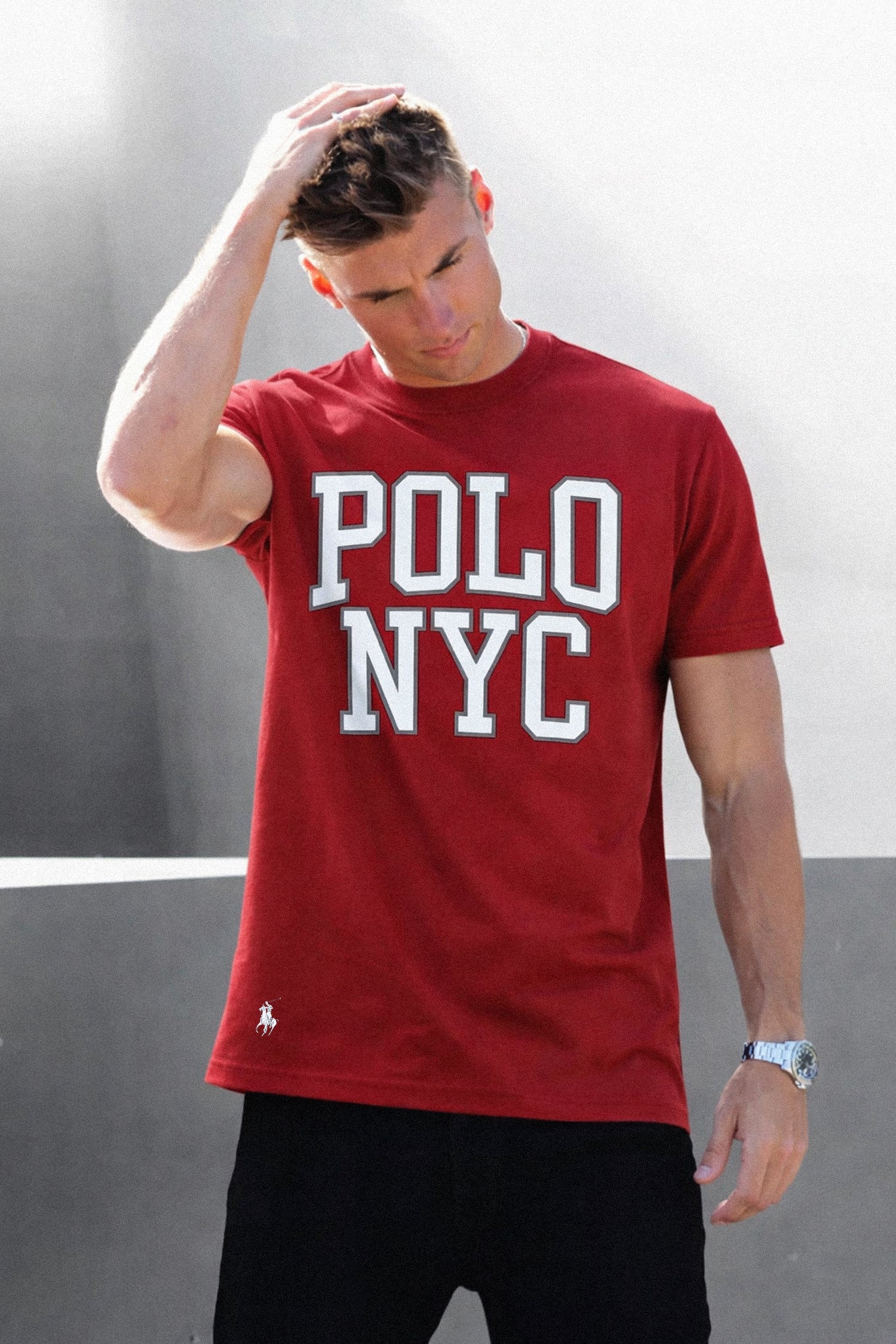 Rph Lren Polo Classic Fit Men's Tee - Image 10